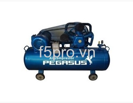 Máy nén khí Pegasus TM-V-0.36/8-180L